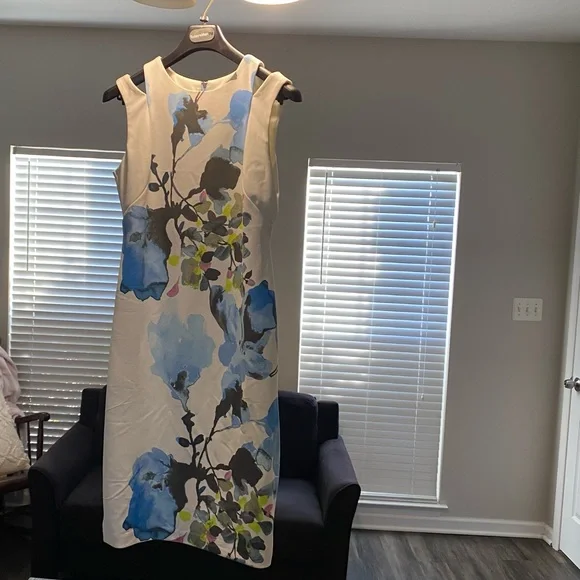 Floral Sleeveless Dress - Blue and White - Picture 1 of 5